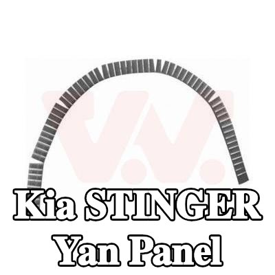 VAN WEZEL Yan panel Sol, Sağ — Kia Stinger