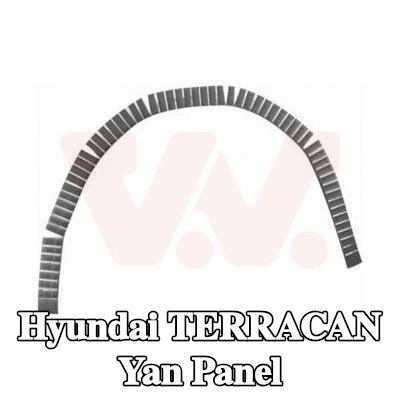 VAN WEZEL Yan panel Sol, Sağ — Hyundai Terracan