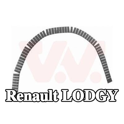 VAN WEZEL لوحة جانبية يسرى, يمين — Renault Lodgy