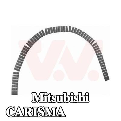 VAN WEZEL لوحة جانبية يسرى, يمين — Mitsubishi Carisma