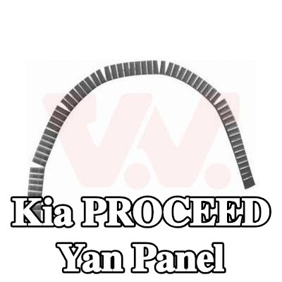 VAN WEZEL Yan panel Sol, Sağ — Kia Proceed