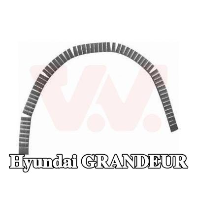 VAN WEZEL لوحة جانبية يسرى, يمين — Hyundai Grandeur
