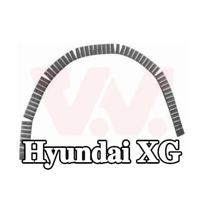 VAN WEZEL لوحة جانبية يسرى, يمين — Hyundai Xg