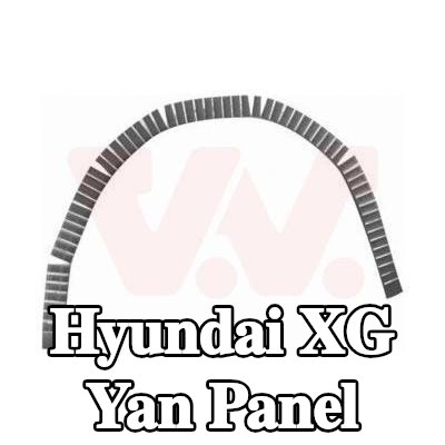 VAN WEZEL Yan panel Sol, Sağ — Hyundai Xg