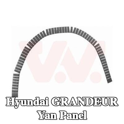 VAN WEZEL Yan panel Sol, Sağ — Hyundai Grandeur