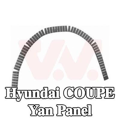 VAN WEZEL Yan panel Sol, Sağ — Hyundai Coupe