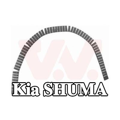 VAN WEZEL لوحة جانبية يسرى, يمين — Kia Shuma