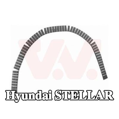VAN WEZEL لوحة جانبية يسرى, يمين — Hyundai Stellar