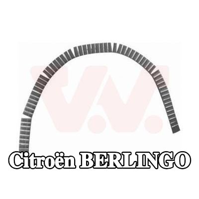 VAN WEZEL لوحة جانبية يسرى, يمين — Citroën Berlingo