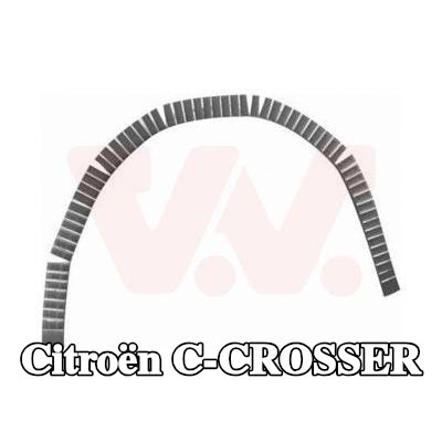 VAN WEZEL لوحة جانبية يسرى, يمين — Citroën C-crosser