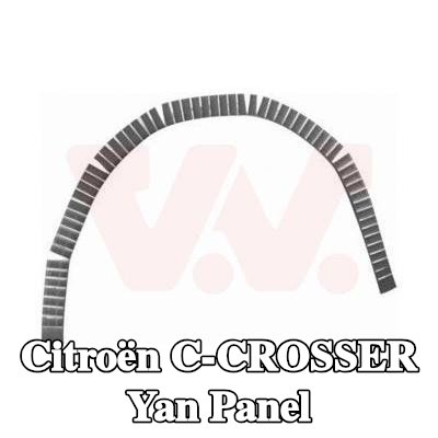 VAN WEZEL Yan panel Sol, Sağ — Citroën C-crosser