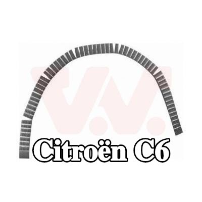 VAN WEZEL لوحة جانبية يسرى, يمين — Citroën C6