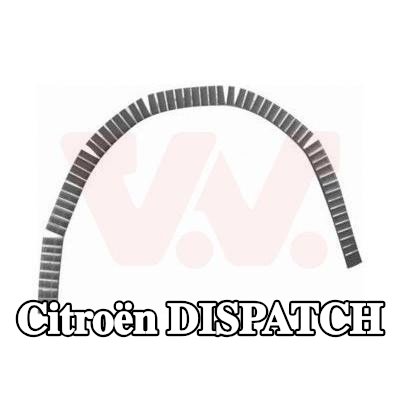 VAN WEZEL لوحة جانبية يسرى, يمين — Citroën Dispatch