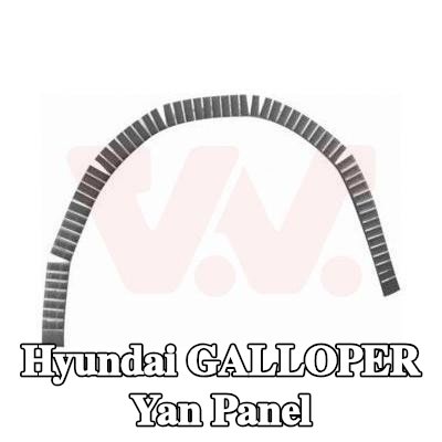 VAN WEZEL Yan panel Sol, Sağ — Hyundai Galloper