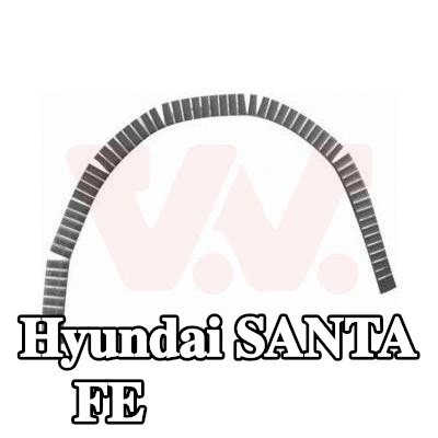 VAN WEZEL لوحة جانبية يسرى, يمين — Hyundai Santa Fe