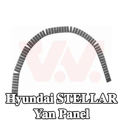 VAN WEZEL Yan panel Sol, Sağ — Hyundai Stellar