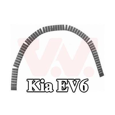 VAN WEZEL لوحة جانبية يسرى, يمين — Kia Ev6