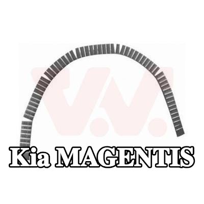 VAN WEZEL لوحة جانبية يسرى, يمين — Kia Magentis