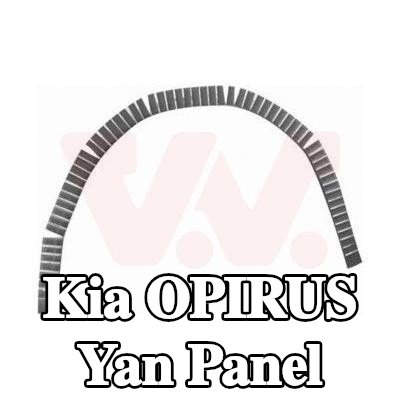 VAN WEZEL Yan panel Sol, Sağ — Kia Opirus