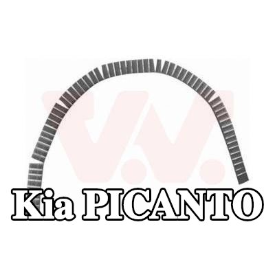VAN WEZEL لوحة جانبية يسرى, يمين — Kia Picanto