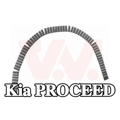 VAN WEZEL لوحة جانبية يسرى, يمين — Kia Proceed