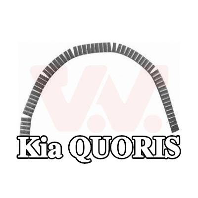 VAN WEZEL لوحة جانبية يسرى, يمين — Kia Quoris