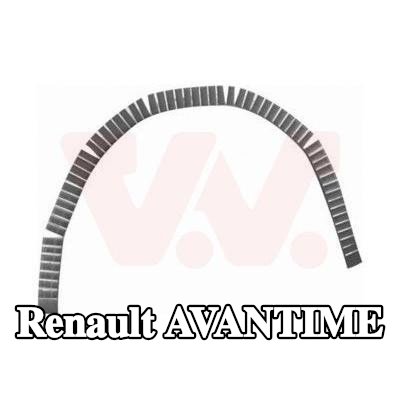 VAN WEZEL لوحة جانبية يسرى, يمين — Renault Avantime