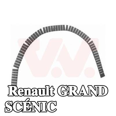 VAN WEZEL لوحة جانبية يسرى, يمين — Renault Grand Scénic