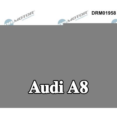 DR.MOTOR AUTOMOTIVE حشية، حوض الزيت — Audi A8