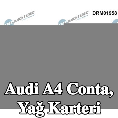 DR.MOTOR AUTOMOTIVE Conta, yağ karteri — 2012 Audi A4