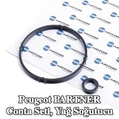 DR.MOTOR AUTOMOTIVE Conta Seti, yağ soğutucu — 2000 Peugeot Partner