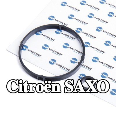 DR.MOTOR AUTOMOTIVE مجموعة حشيات، مبرد الزيت — Citroën Saxo