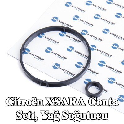 DR.MOTOR AUTOMOTIVE Conta Seti, yağ soğutucu — 2000 Citroën Xsara