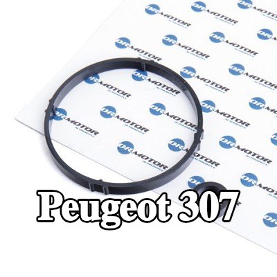 DR.MOTOR AUTOMOTIVE مجموعة حشيات، مبرد الزيت — Peugeot 307