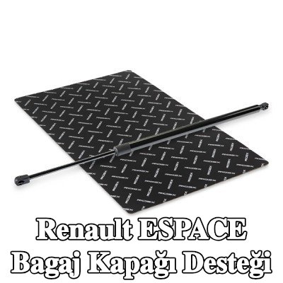 RIDEX Bagaj kapağı desteği 641, 5mm — Renault Espace