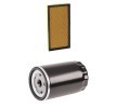 RIDEX PLUS Filtre kiti — 2000 Audi A6 (1)