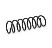 SACHS Helezon yay — 2004 Ford Focus (2)
