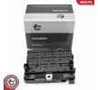 ESEN SKV Kontrol ünitesi, motor yönetimi — Citroën C5 (1)