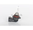 BOSCH Uzun far ampulü HB3, 60W, 12V — Lexus Nx (1)