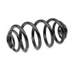 SACHS Helezon yay — Chevrolet Orlando (2)