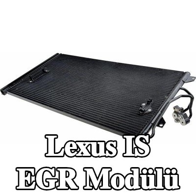NTY EGR Modülü kendiliğinden kapanan — Lexus Is