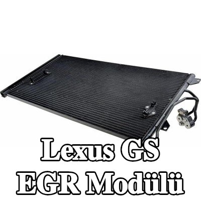 NTY EGR Modülü kendiliğinden kapanan — Lexus Gs