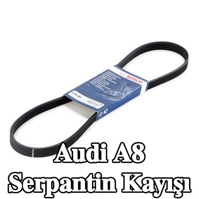 BOSCH Serpantin kayışı 985mm, Number of ribs: 5 — Audi A8