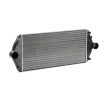 NRF Intercooler — Citroën Synergie (2)