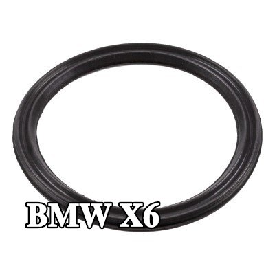 FEBI BILSTEIN حشية مانعة للتسرب، مستشعر مستوى زيت المحرك — BMW X6