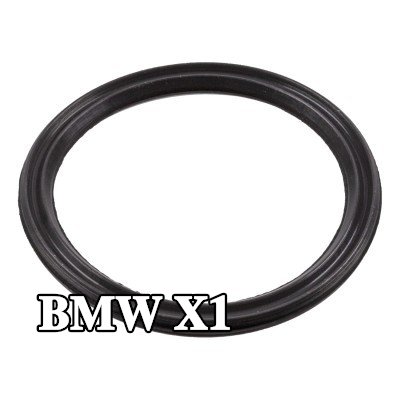 FEBI BILSTEIN حشية مانعة للتسرب، مستشعر مستوى زيت المحرك — BMW X1