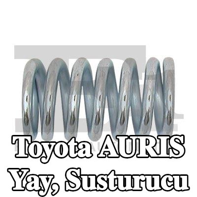 FA1 Yay, susturucu — 2006 Toyota Auris