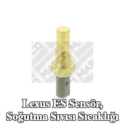 MAPCO Sensör, coolant temperature R 1/8 — 2002 Lexus Es