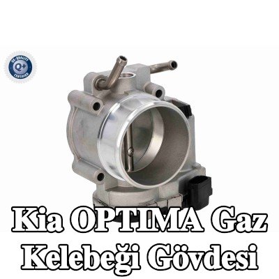 ACKOJA Gaz kelebeği gövdesi — 2011 Kia Optima