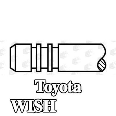 AE صمام العادم — Toyota Wish